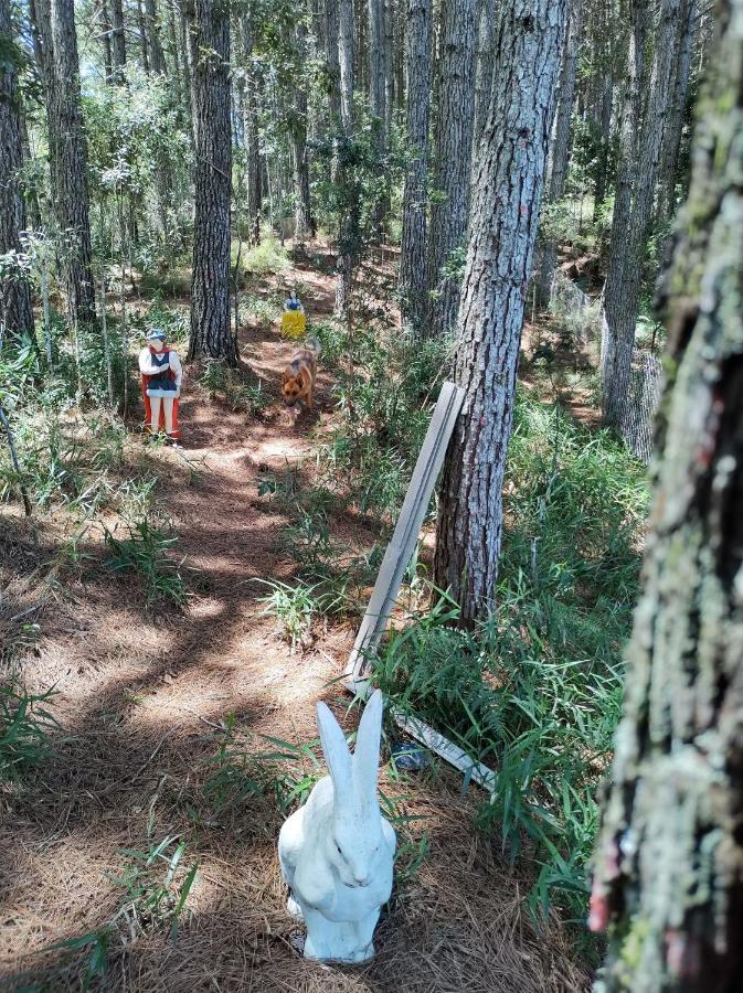 Hotel E Pousada Montanha Real Urubici Kültér fotó